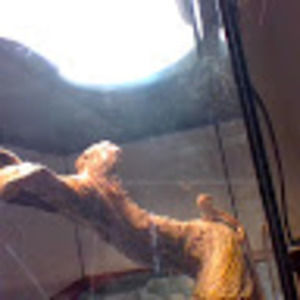 Meet your Posher, Joseph